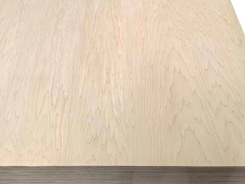 枫木 (1).jpg