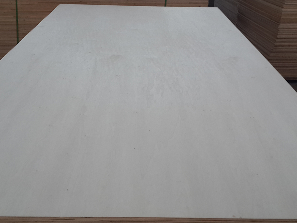 (Bleached) Poplar Plywood