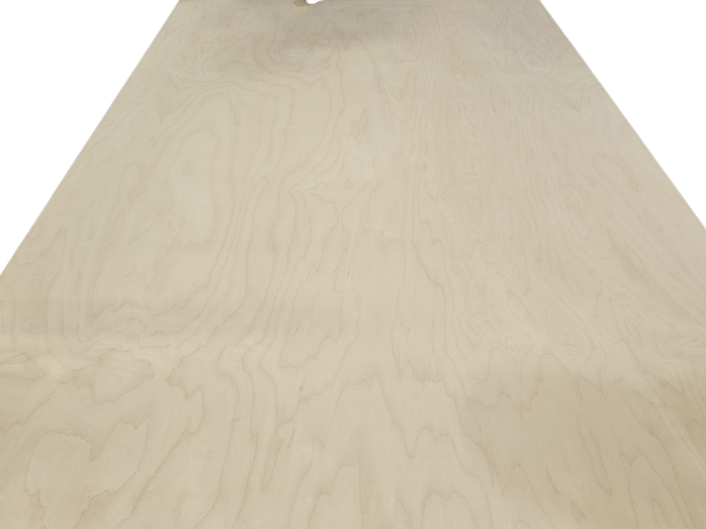 Maple Plywood