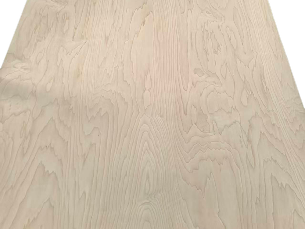 maple (3).jpg