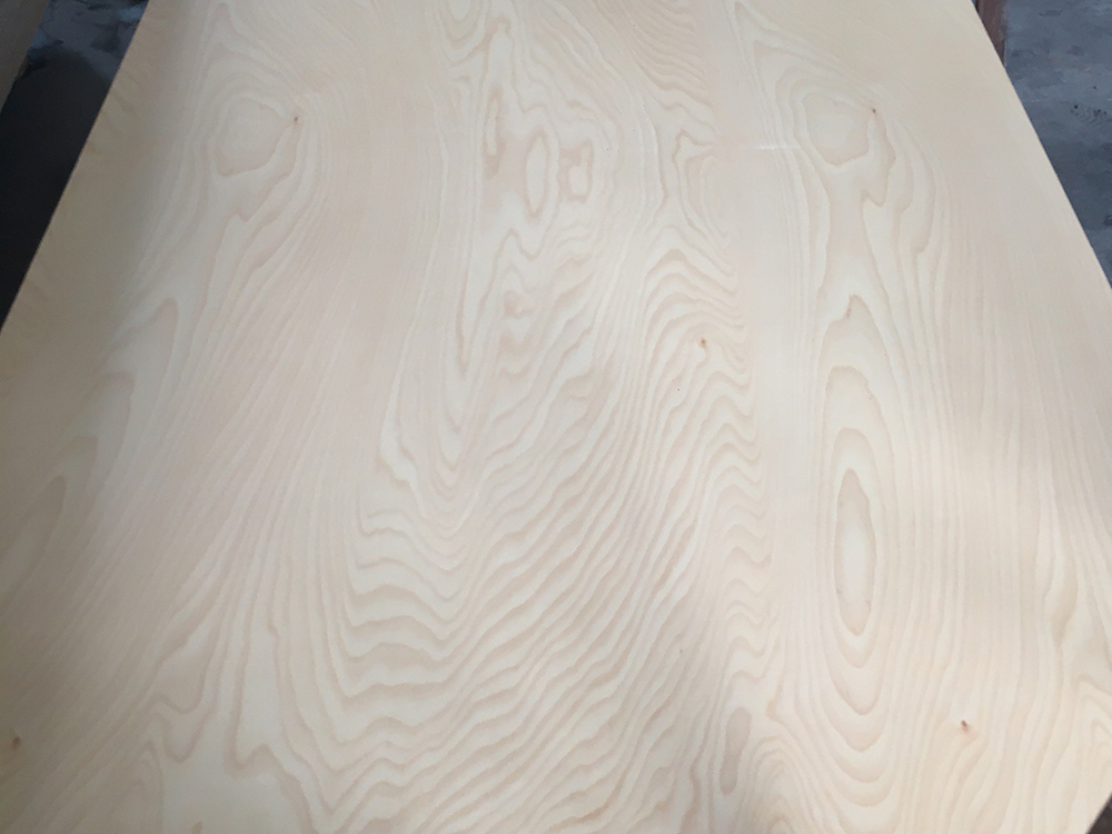 UV Birch (1).jpg