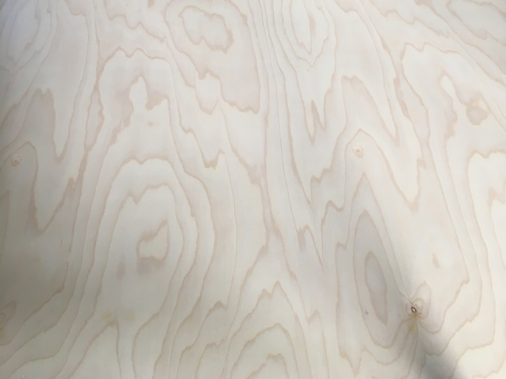 UV Birch (4).jpg