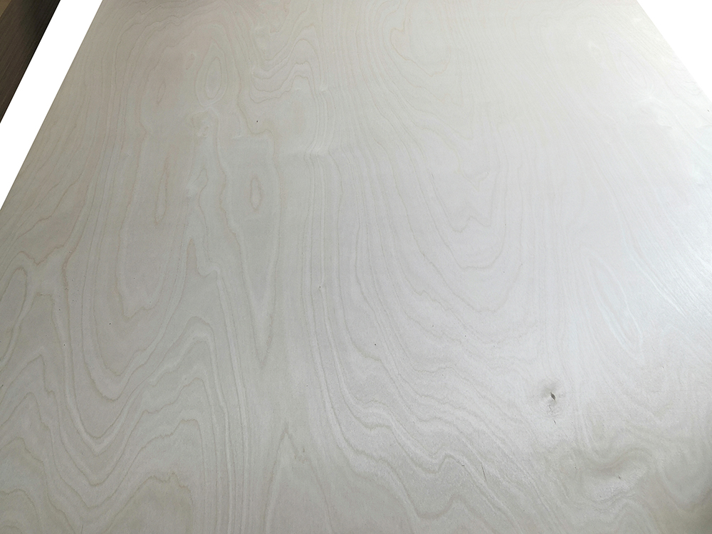 Birch Plywood