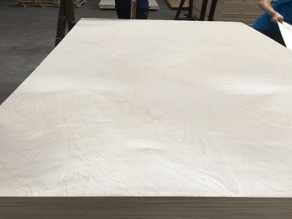 Birch Plywood