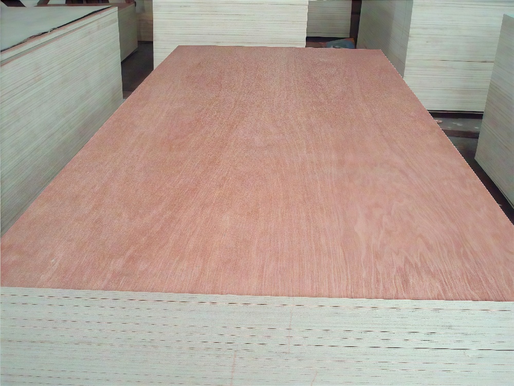 Commericial Plywood Bintangor 