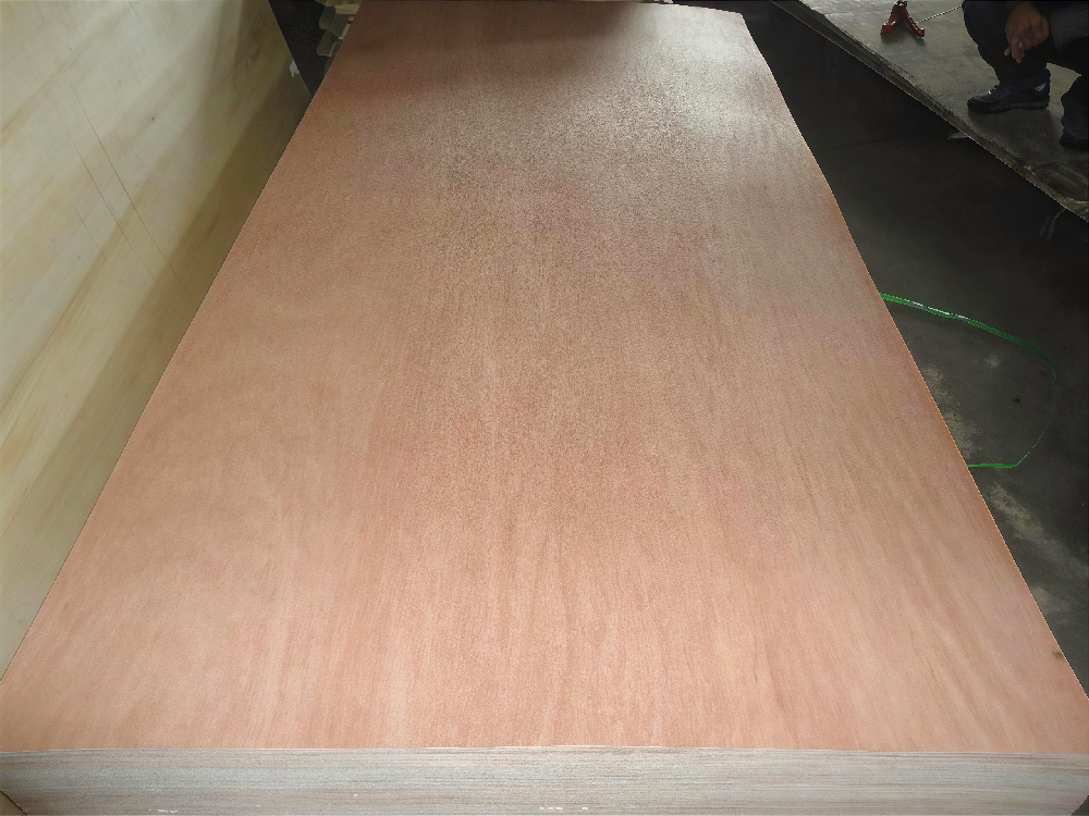 YT Bintangor Plywood (1).png