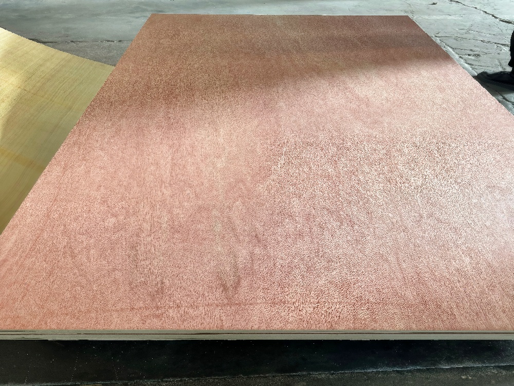 YT Bintangor Plywood (2).jpg